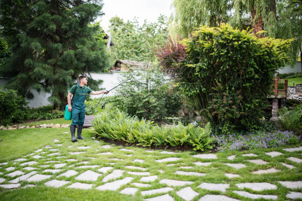 Wasp Removal Services in Crete, NE