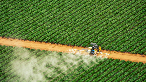 Best Pest Inspection Near Me  in Crete, NE
