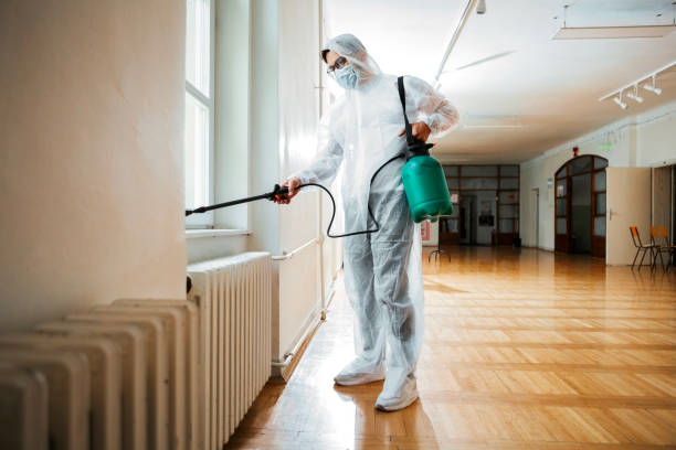 Flea Control Services in Crete, NE