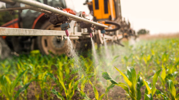 Best Pest Prevention Services  in Crete, NE
